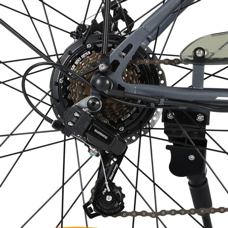 Vélo électrique de ville Touroll B1 Couple 36V 15.6Ah Vélo électrique de ville Touroll B1 Couple 36V 15.6Ah